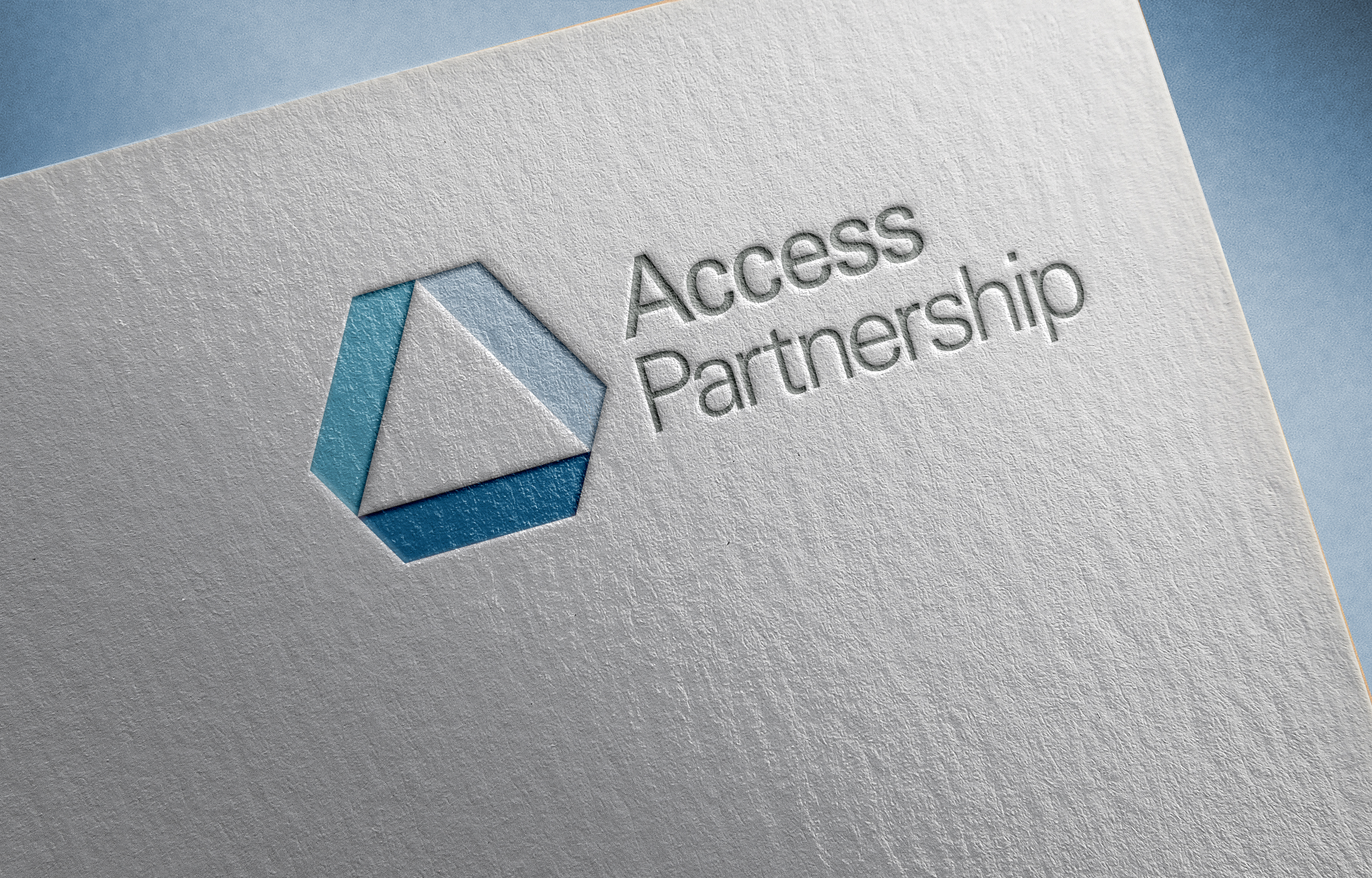 Access Partnership Wins AmCham Represent 2021 Award for Best Business Transformation