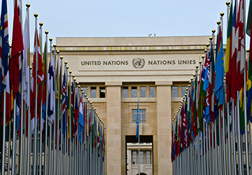 Multilateral Organisations