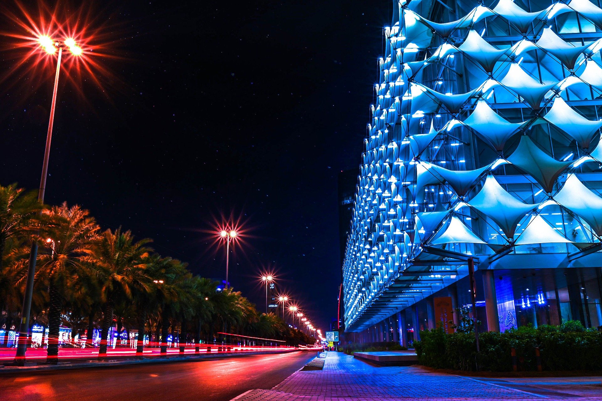 Access Alert: Saudi Arabia’s New Digital Government Authority