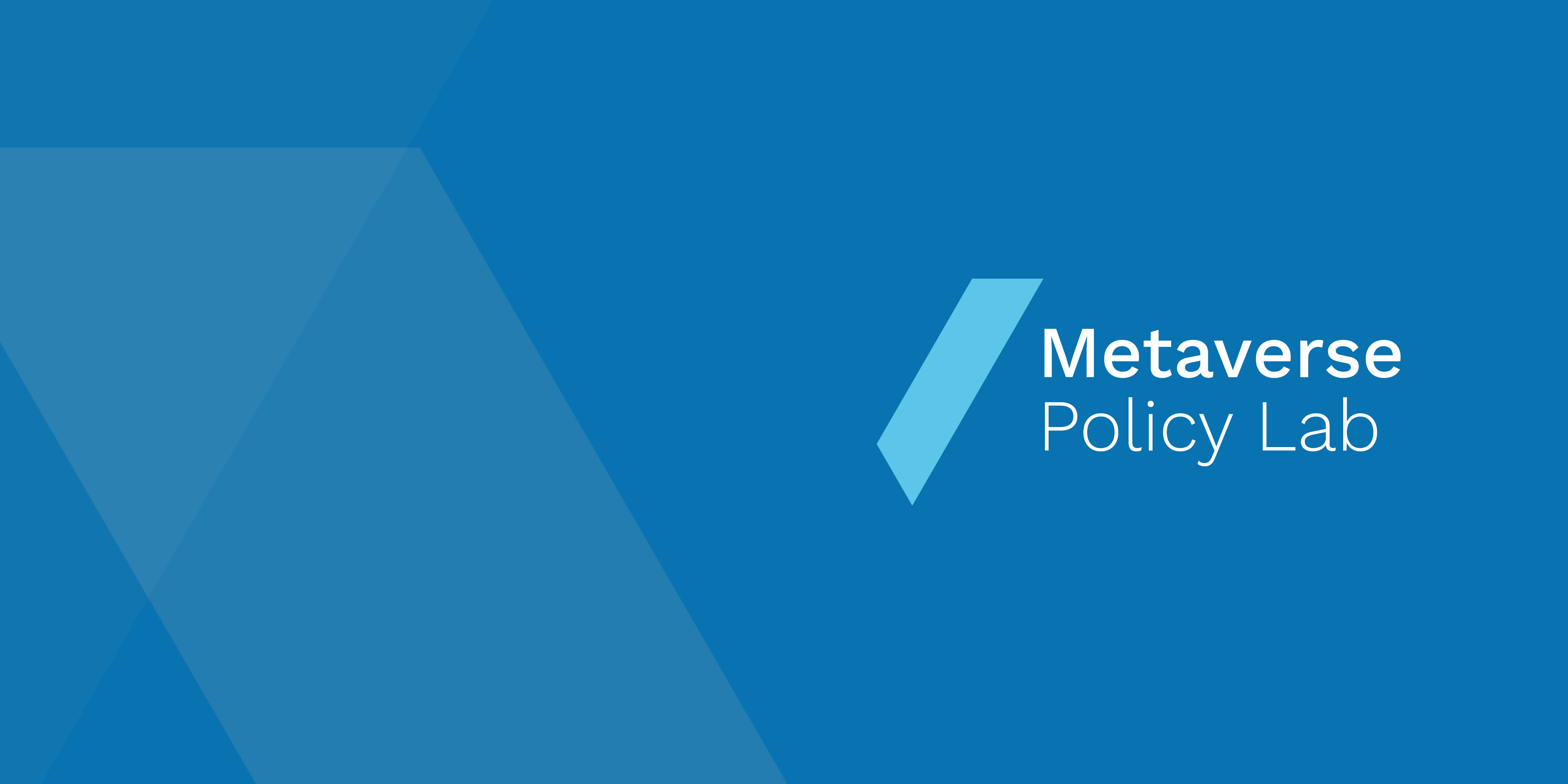 Metaverse Policy Lab