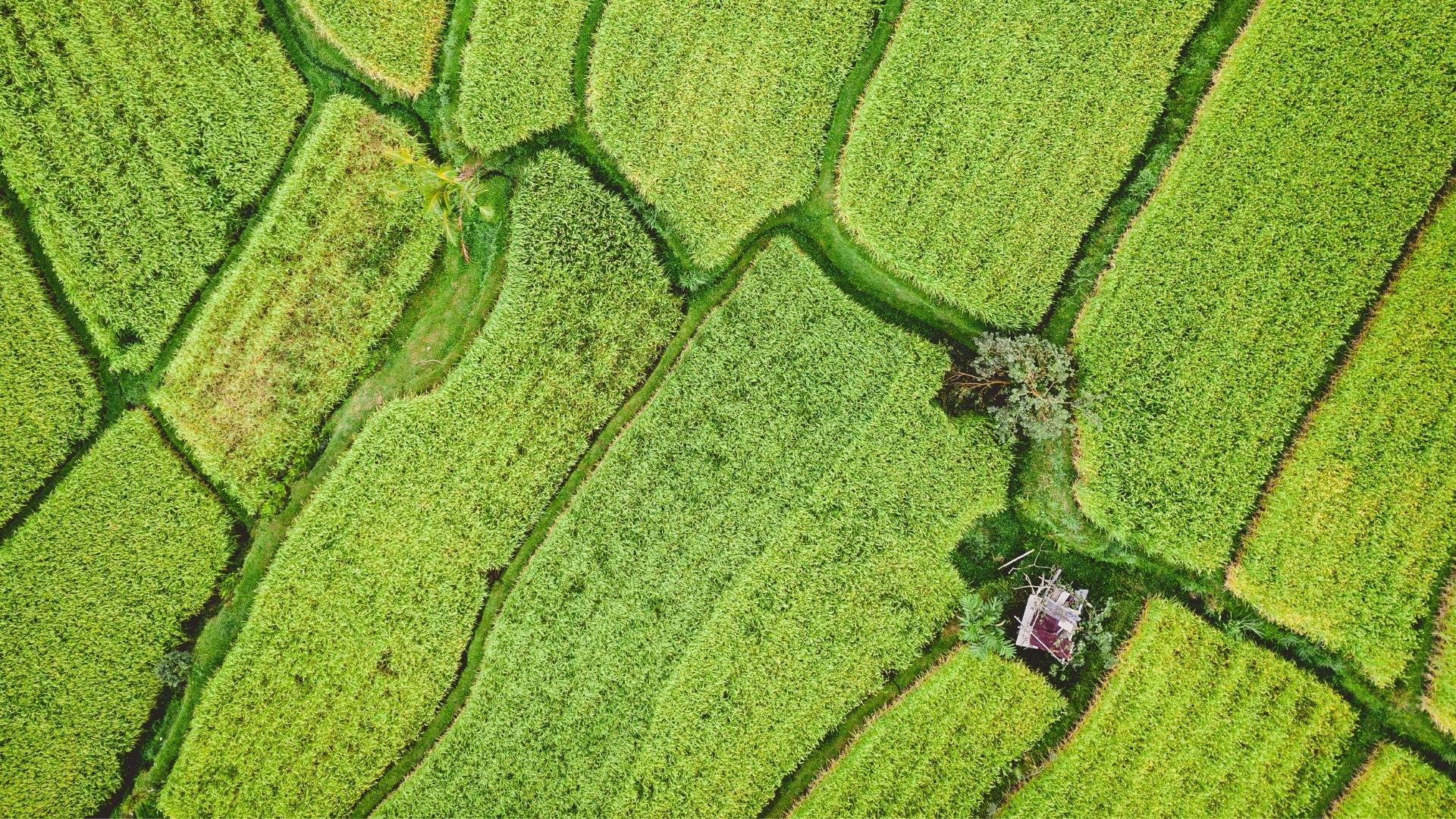 Understanding climate-smart, regenerative, and nature-based solutions for  agriculture in Southeast Asia - Access Partnership