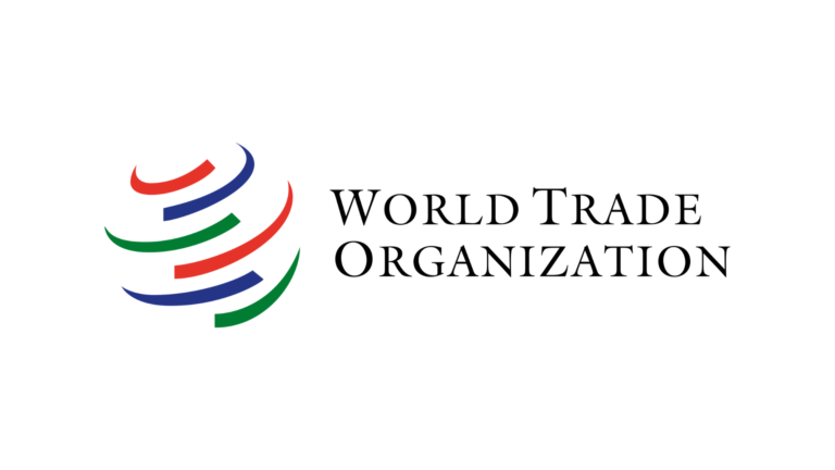 World Trade Organization | DDG González: “More cooperation on digital will create trade opportunities, reduce costs”