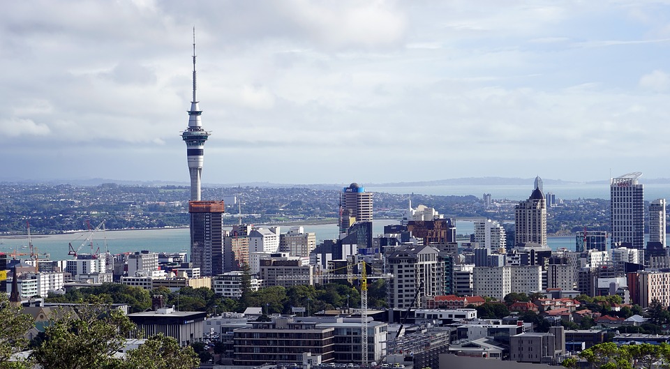 Google Economic and Social Impact – New Zealand