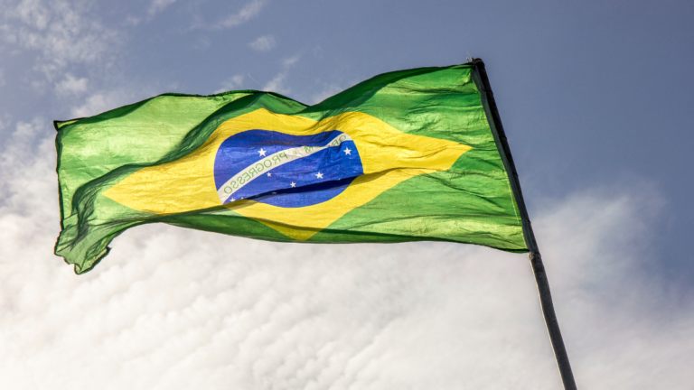 Brazil and the Future of Democracy in the Age of Disinformation