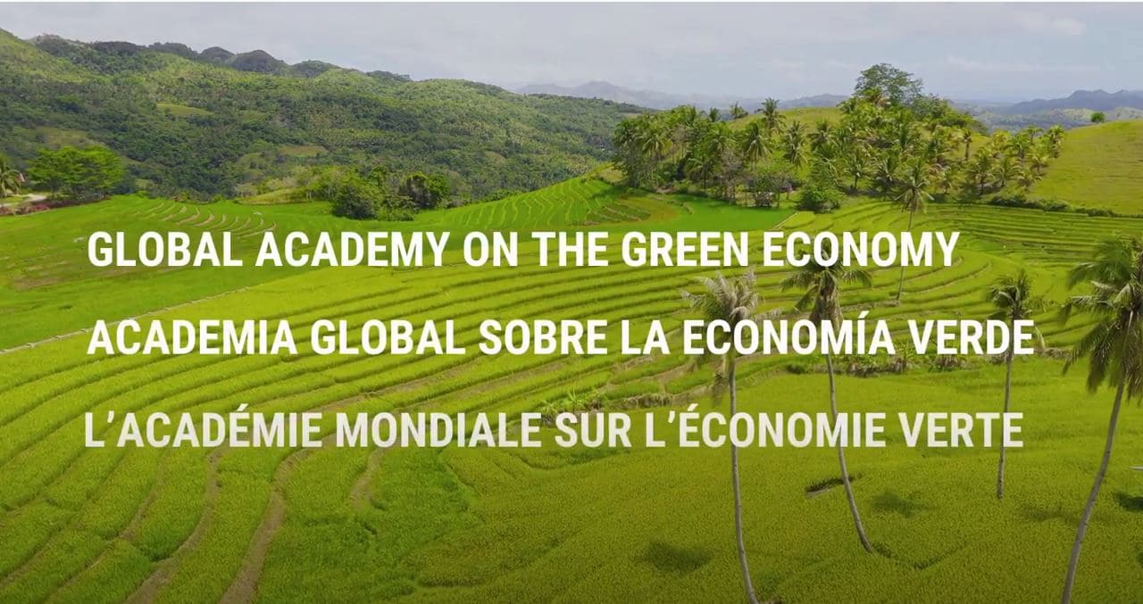 Achieving a green recovery from the COVID-19 crisis: AlphaBeta’s presentation at the “Global Academy on the Green Economy”