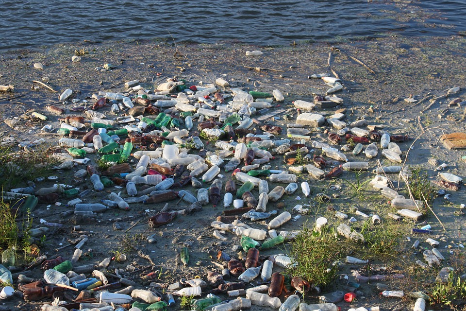 AlphaBeta Helps to Tackle Plastic Waste in the Ocean