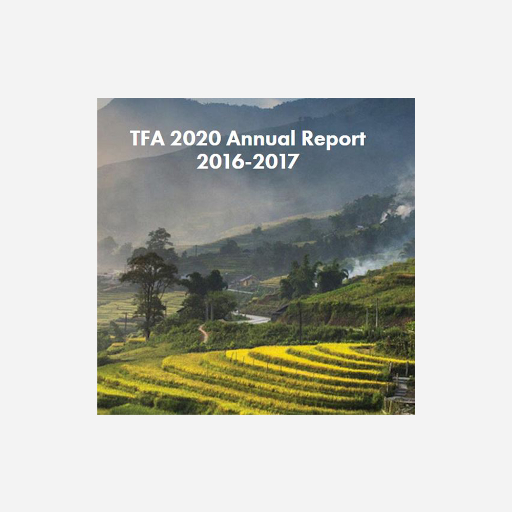 TFA 2020 Annual Report 2017