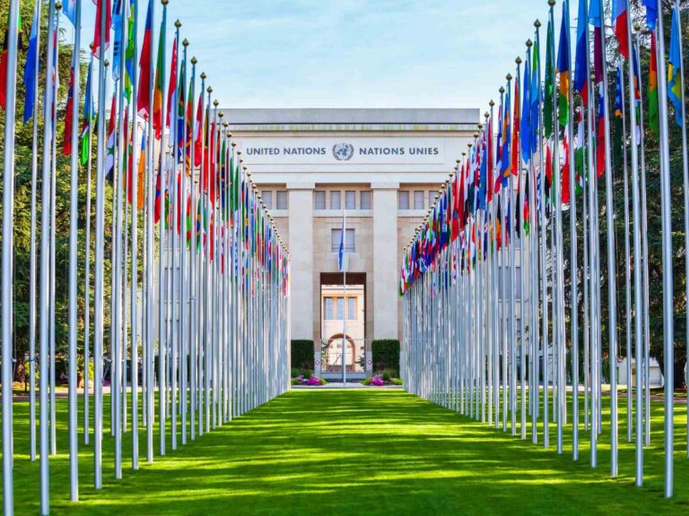 Access Alert: United Nations Publishes Interim Report on Governing AI for Humanity