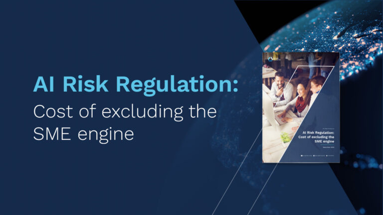 AI Risk Regulation: Cost of excluding the SME engine
