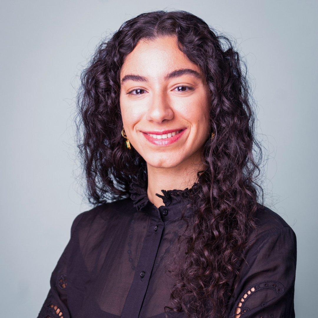 Dana Ramadan - Access Partnership